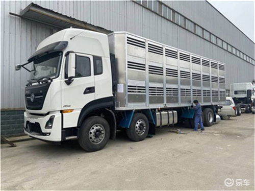 福田歐曼畜禽運(yùn)輸車價(jià)格解析及選購(gòu)指南